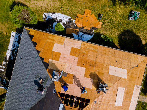 Best Roof Gutter Cleaning  in Snow Hill, NC